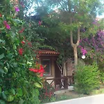 Moonshine & 호텔 Bodrum