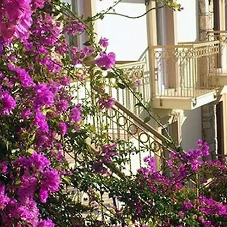 Moonshine & Bodrum