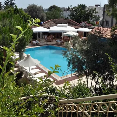 Moonshine & Hotel 3*