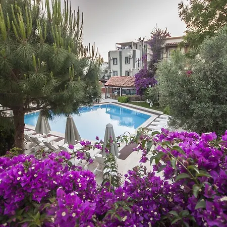 Moonshine & Hotel Bodrum