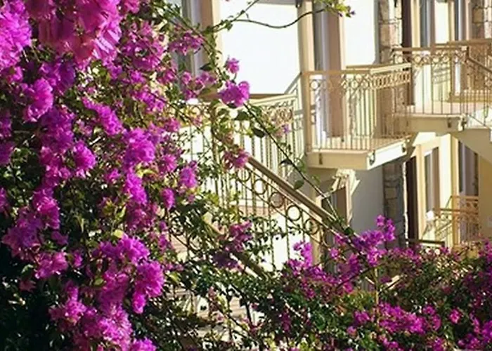 Moonshine & Bodrum