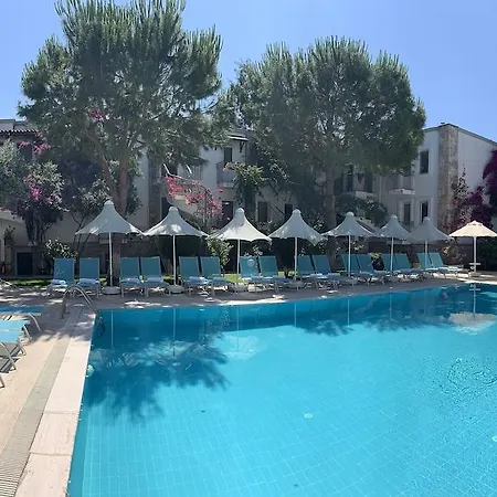 Moonshine & מלון 3*