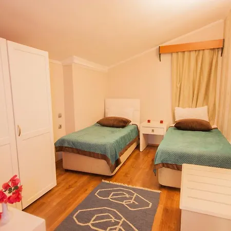 Moonshine & מלון