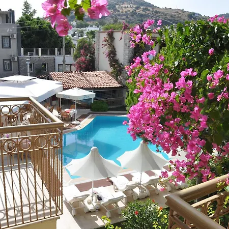 Hotel Moonshine & Bodrum