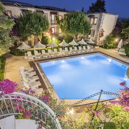 酒店 Moonshine & 3*