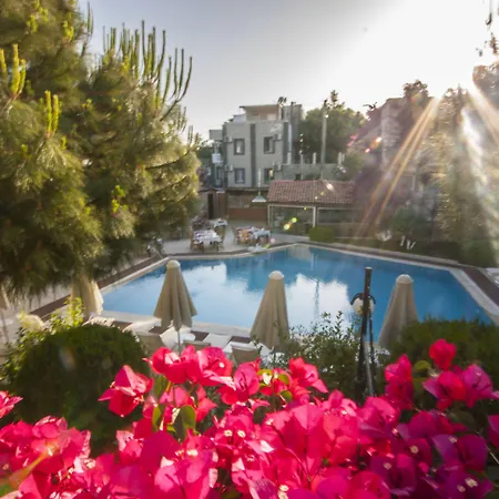 Moonshine & 3* Bodrum