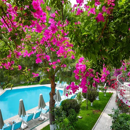 מלון Moonshine & 3*