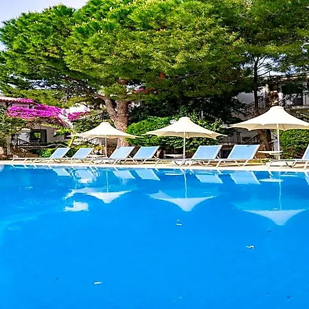 Moonshine & Bodrum