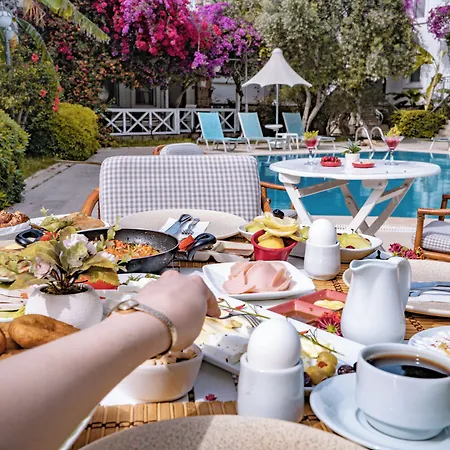 호텔 Moonshine & Bodrum