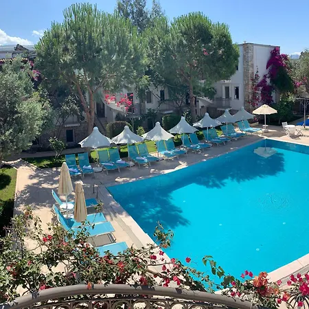 Hotell Moonshine &