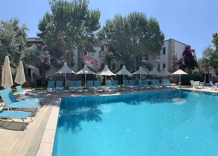 Moonshine & Hotell 3*