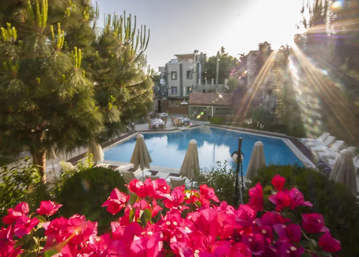 Moonshine & 3* Bodrum