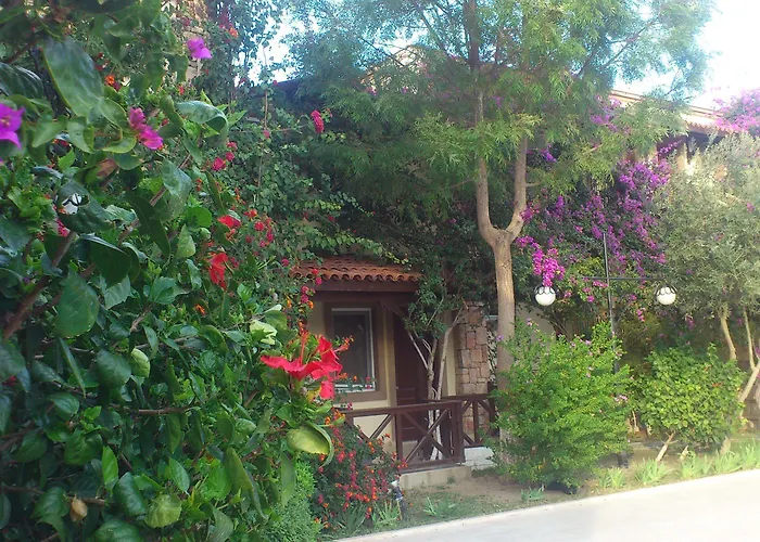 Moonshine & Hotell Bodrum