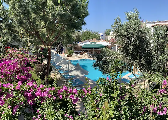 Moonshine & Hotell 3*