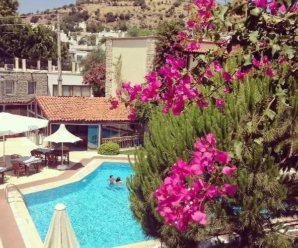 Moonshine & Hotell Bodrum