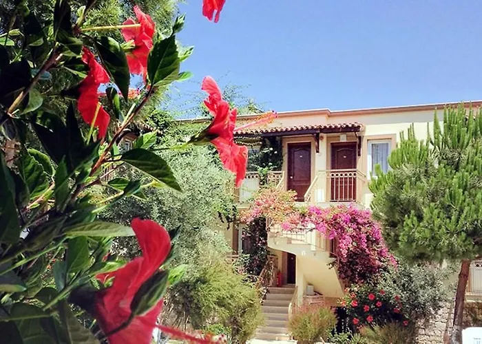 Moonshine & 3* Bodrum