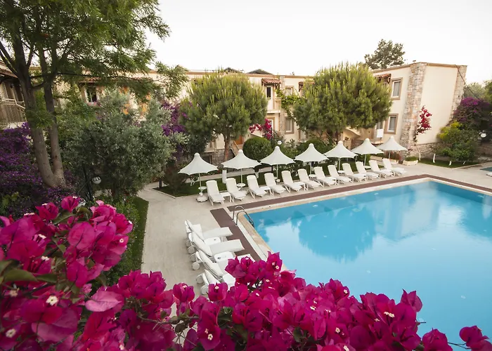 Moonshine & Αλικαρνασσός